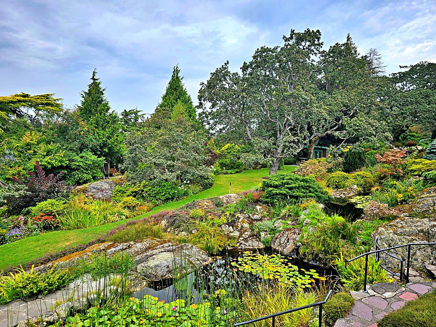 Abkhazi Garden: mature trees, rocky paths and a pond, photographed in August 2024.