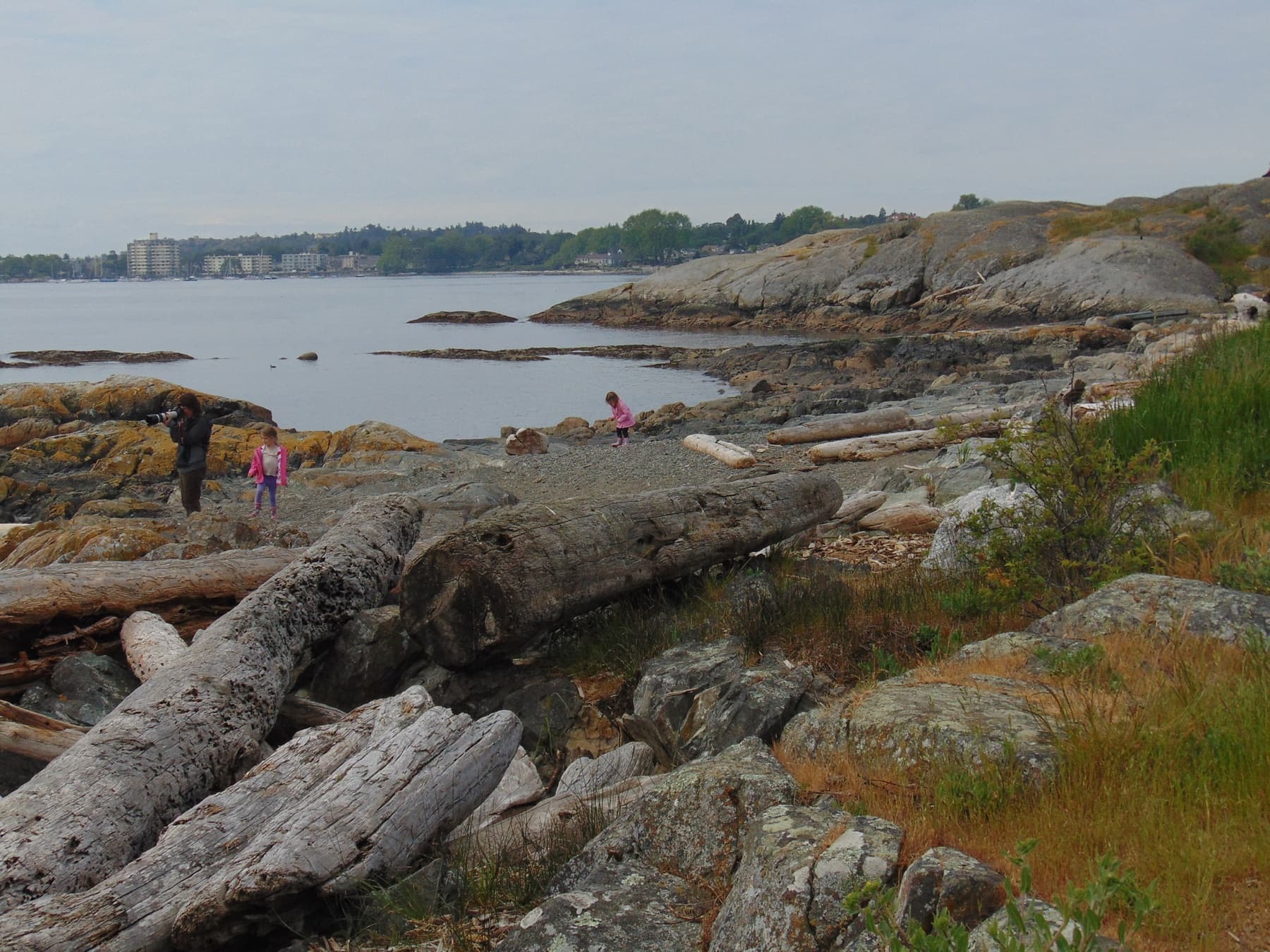 People explore the rocky shoreline and driftwood at Cattle Point beside calm blue water