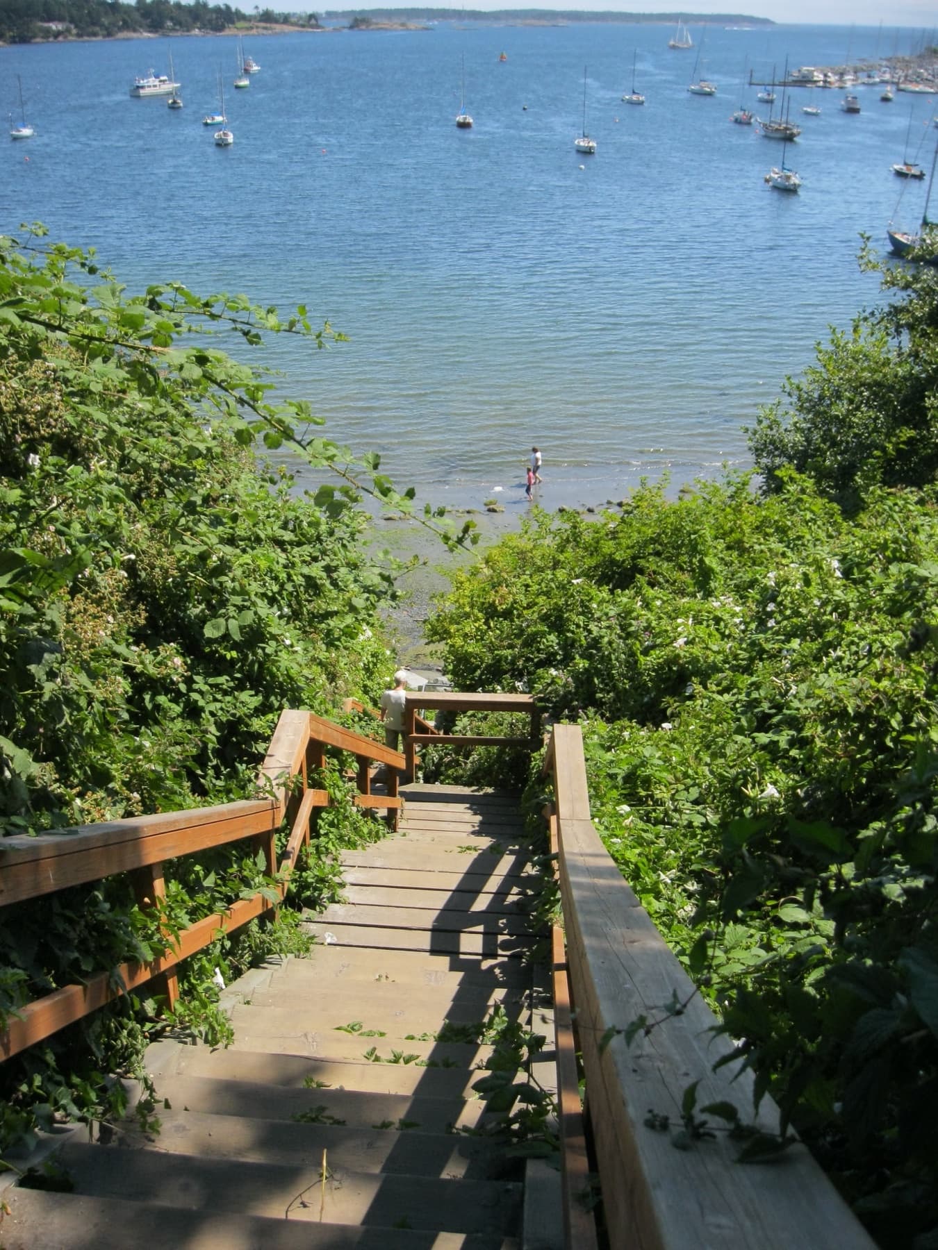 Wooden public-access stairs descend through dense greenery to a small Oak Bay beach