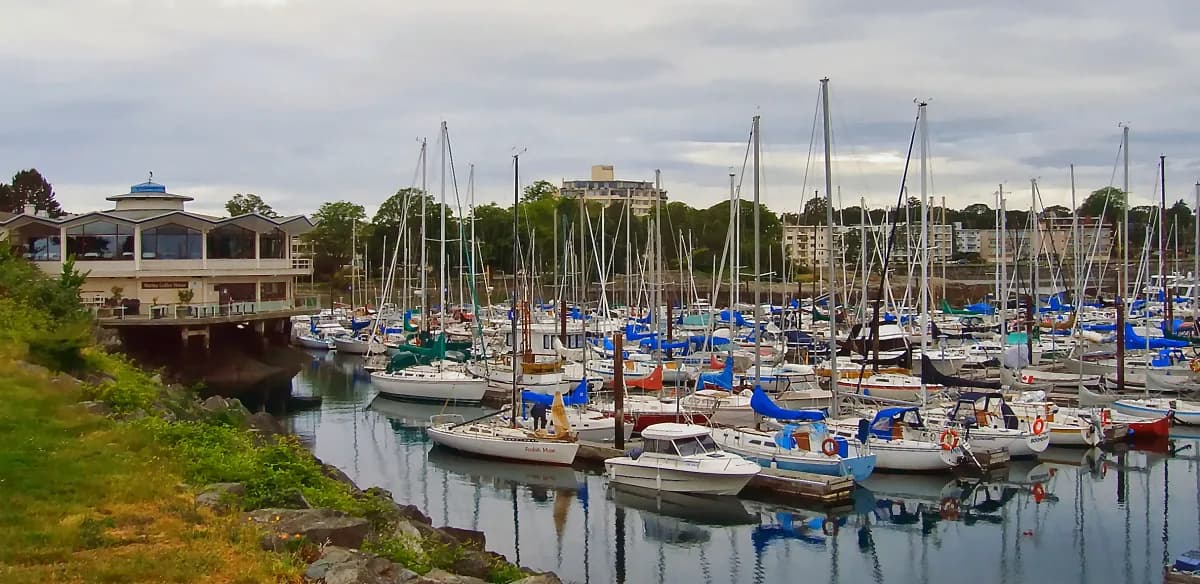 Boats sit at Oak Bay Marina with the low shoreline beyond