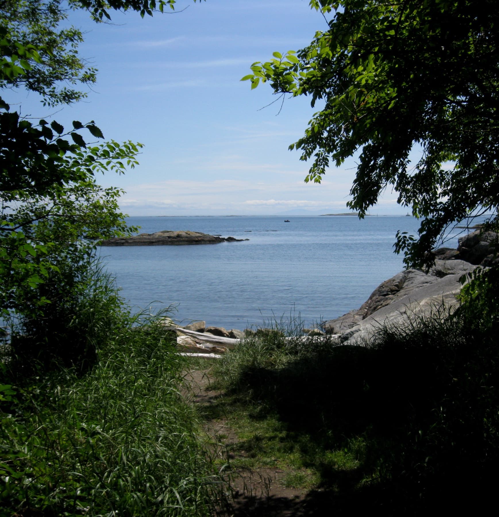 A narrow tree-framed public path opens onto the rocky shoreline at Rutland Road