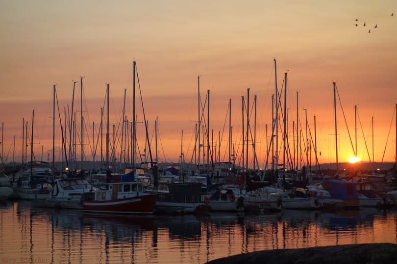 Golden light behind sailboat masts at Oak Bay Marina.